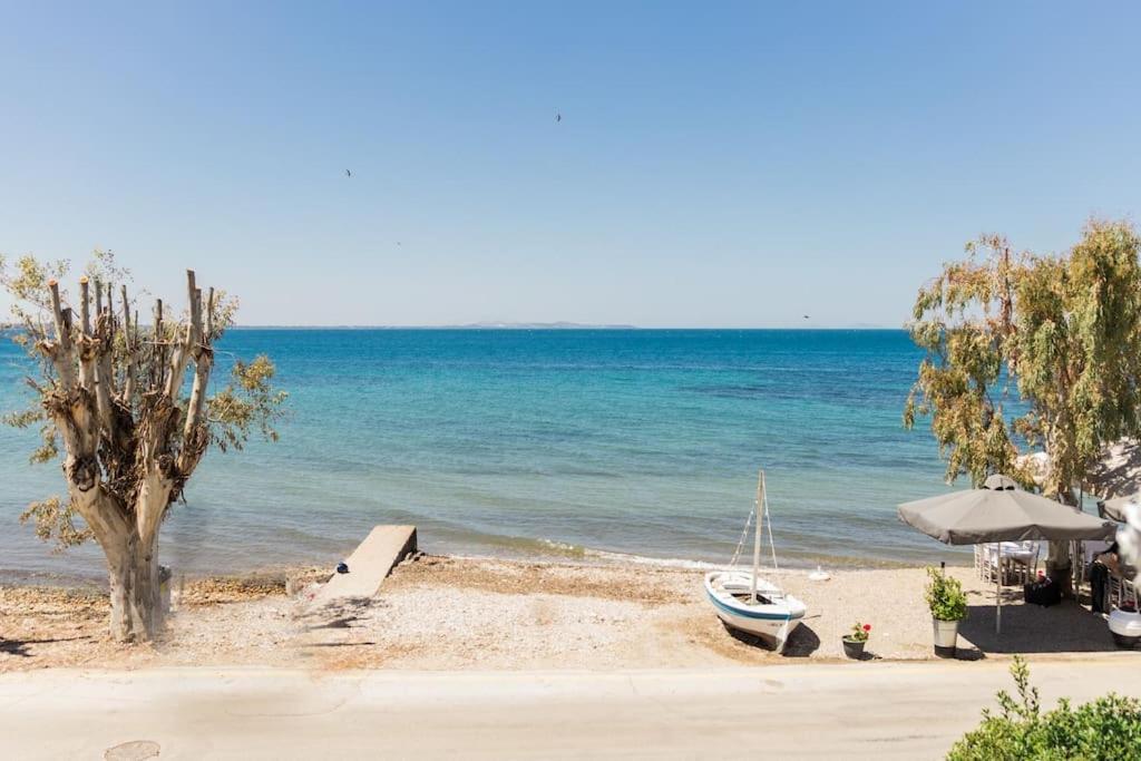 The Waves Διαμέρισμα Μονοδένδρι Εξωτερικό φωτογραφία